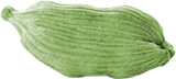 Betelnut