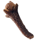 Betelnut