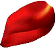 Betelnut